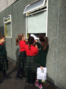 Windows of questions.